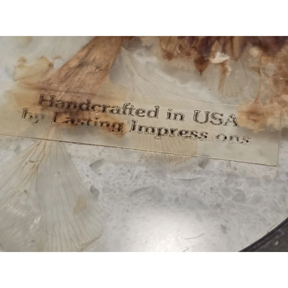 Vtg Lasting Impressions Butterfly In‎ Glass Framed Decor Handcrafted USA Pressed